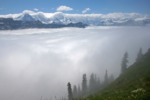 After a long hike though the fog, a small patch of blue sky gave quite a reward. (near Interlakken, Switzerland)