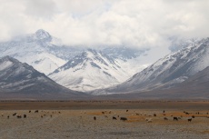 Near Torugart Pass, Kyrgyzstan